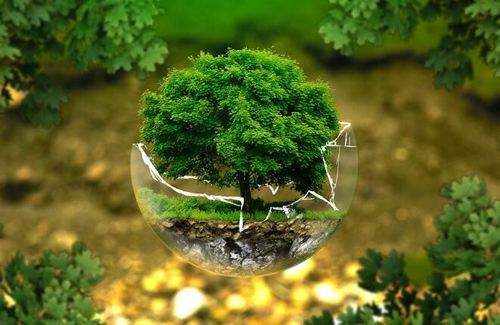 怎樣實施科學的環保管理？